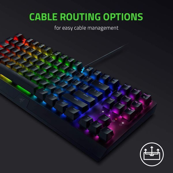 Клавиатура RAZER BlackWidow V3 TKL Green Switch RU (RZ03-03490700-R3R1) 65180 фото