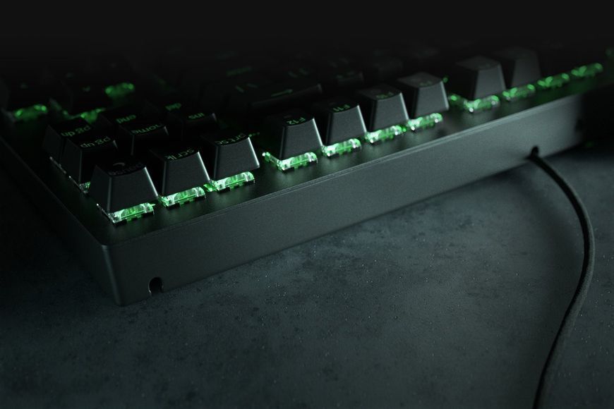 Клавиатура RAZER BlackWidow V3 TKL Green Switch RU (RZ03-03490700-R3R1) 65180 фото