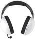 Акустична система HATOR Hellyberry HH30 wireless (HH30_wireless_WV) white-violet 67594 фото 6