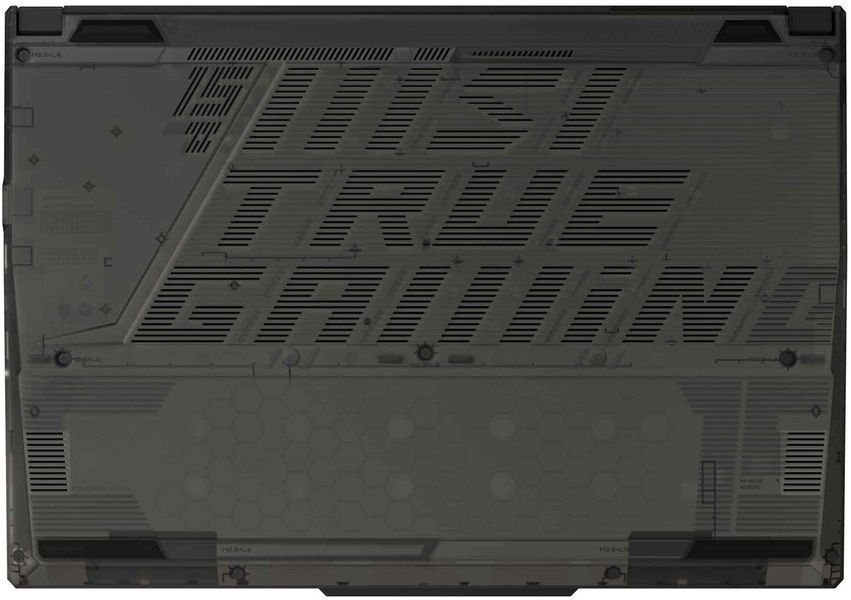 Ноутбук MSI Cyborg 15 A13VE (A13VE-1613XPL) s3f5g0hh00 фото